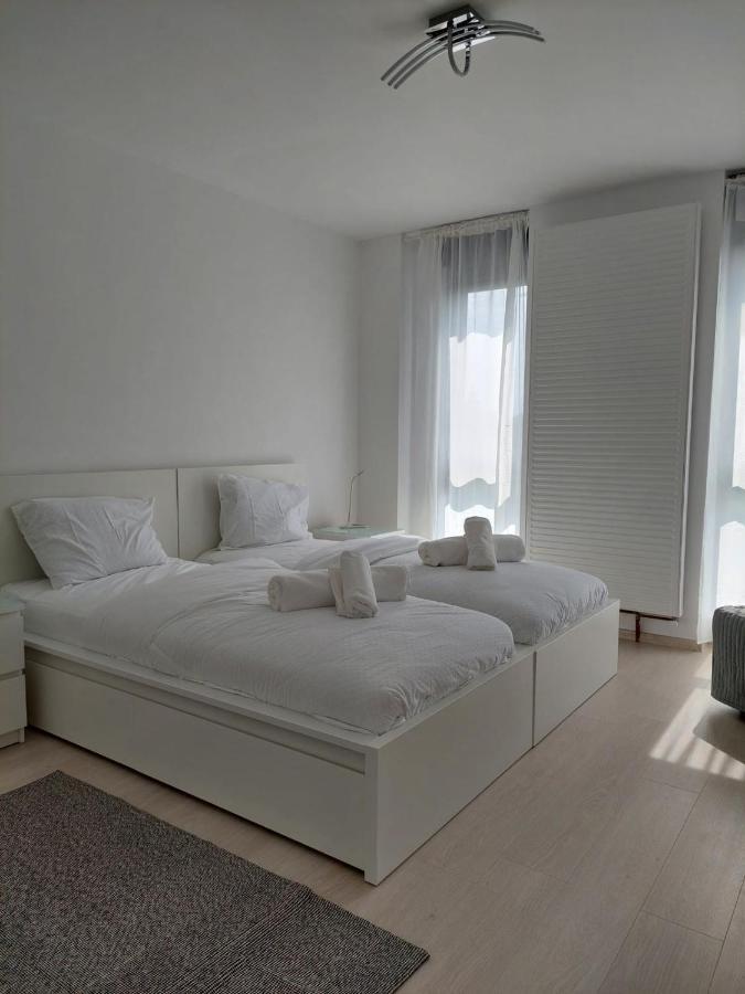 Casa Maria City Apartments Temeşvar Dış mekan fotoğraf